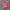 Polo Ralph Lauren Streetwear Polo Shirt Pria Pink