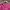 Polo Ralph Lauren Streetwear Polo shirt Pria pink photo 3