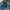 ECKO UNLTD Streetwear Y2K Jeans Pria navy photo 3