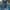 ECKO UNLTD Streetwear Y2K Jeans Pria navy photo 2