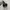 VANS Casual Sneakers Wanita white black photo 4