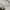 Off-White Vintage Streetwear Sweatshirt Pria white photo 8