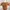 Casual Crop top Wanita brown photo 2