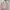 Michael Kors Luxury Casual Handbag Wanita pink photo 2
