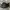 Burberry Luxury Handbag Wanita brown black photo 5
