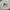 Burberry Luxury Handbag Wanita brown black photo 1
