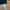 VANS Vintage Streetwear T-shirt Pria navy black photo 3