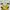 Guess Luxury Casual Sweater Wanita white yellow photo 5