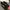 VANS Luxury Minimalist Sneakers Pria Black