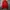 Adidas Sportswear Casual Track jacket Pria white red photo 2