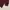 GU Casual Polo shirt Pria burgundy photo 3