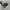 Polo Ralph Lauren Casual Polo shirt Pria gray photo 4