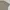 Lacoste Casual Polo shirt Pria tan photo 1