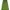 ZARA Casual Casual dress Wanita green photo 2