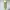 ZARA Casual Casual dress Wanita green photo 5