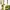 ZARA Casual Casual dress Wanita green photo 1