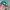 Japanese brand Vintage Casual Hat Pria green photo 4