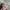 Japanese brand Vintage Casual Hat Pria tan photo 2