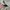 Japanese brand Vintage Casual Hat Pria tan photo 1