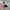 Japanese Brand Vintage Casual Hat Pria Tan