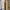 Y2K Sneakers Wanita blue yellow photo 4