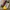 Y2K Sneakers Wanita blue yellow photo 2