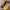 Y2K Sneakers Wanita Blue Yellow