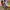 Y2K Sneakers Wanita Blue Yellow