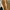 Compass Y2K Loafer Pria green blue photo 6