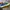 Compass Y2K Loafer Pria green blue photo 5