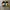 Compass Y2K Loafer Pria green blue photo 3
