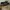 Minimalist Flat Wanita black photo 4