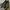 Minimalist Flat Wanita black photo 1