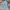 Streetwear Y2K Jeans Pria multicolor photo 3