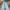 Streetwear Y2K Jeans Pria multicolor photo 3