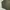 In the Attic Streetwear Puffer jacket Pria green photo 2