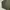 In The Attic Streetwear Puffer Jacket Pria Green