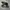 Adidas Casual Sneakers Pria white black photo 1