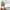 VANS Streetwear Skater Hat Pria tan cream photo 2
