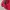 Gorpcore Track jacket Pria red gray photo 4