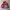 Gorpcore Track jacket Pria red gray photo 3