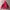 Gorpcore Track jacket Pria red gray photo 6
