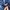 Nike Y2K Casual Bomber jacket Pria navy black photo 4