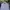 Tommy Hilfiger Luxury Formal shirt Pria white photo 2