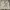 ZARA Streetwear Cami top Wanita white photo 1