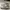 Adidas Streetwear Y2K Sneakers Pria white cream photo 1