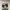 Adidas Streetwear Y2K Sneakers Pria white cream photo 2