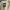 Undefeated Streetwear T-shirt Pria multicolor yellow photo 4