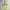 Undefeated Streetwear T-shirt Pria multicolor yellow photo 2