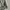 Russell Athletic Casual Sweater Pria gray photo 2